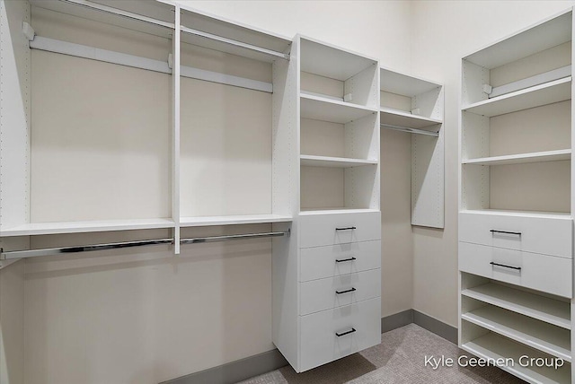 52 E 8th St Ste 210, Holland, MI 49423 - spacious closet with carpet flooring