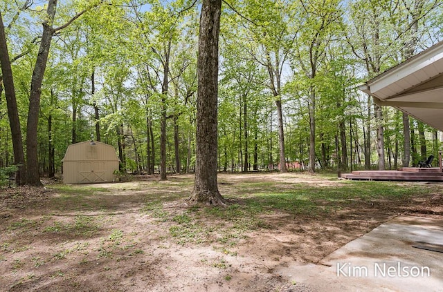 5203 Nestrom Rd, Whitehall, MI 49461 - view of yard