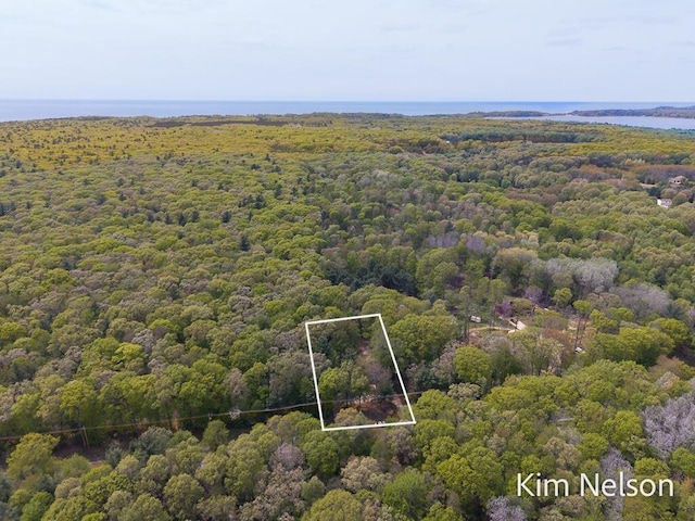 5203 Nestrom Rd, Whitehall, MI 49461 - view of property location featuring a heavily wooded area, property boundaries highlighted, and a nearby body of water