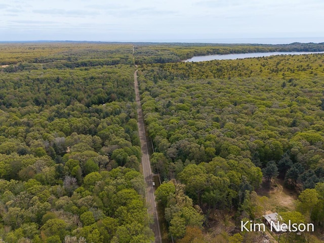 5203 Nestrom Rd, Whitehall, MI 49461 - bird's eye view of a forest and a nearby body of water