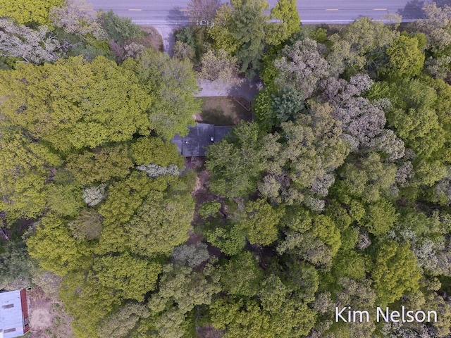 5203 Nestrom Rd, Whitehall, MI 49461 - view of property location with a heavily wooded area