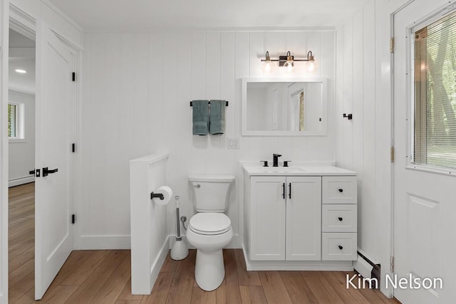 5203 Nestrom Rd, Whitehall, MI 49461 - bathroom featuring wood finished floors, plenty of natural light, baseboard heating, and toilet