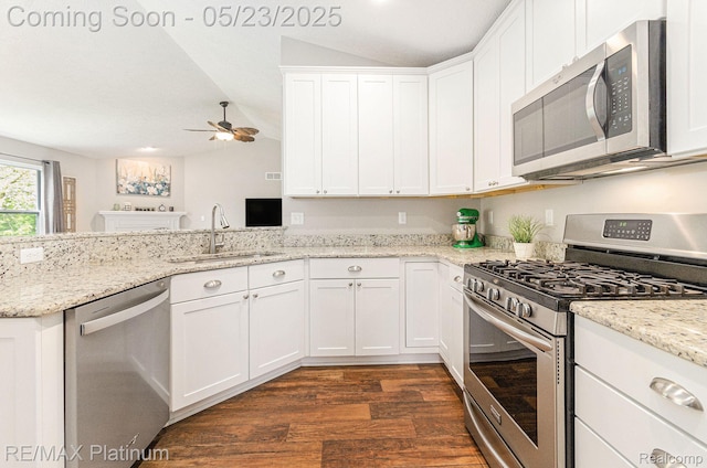 5956 Kerri Ln, Howell, MI 48855 - kitchen featuring stainless steel appliances, lofted ceiling, a sink, dark wood-type flooring, and ceiling fan