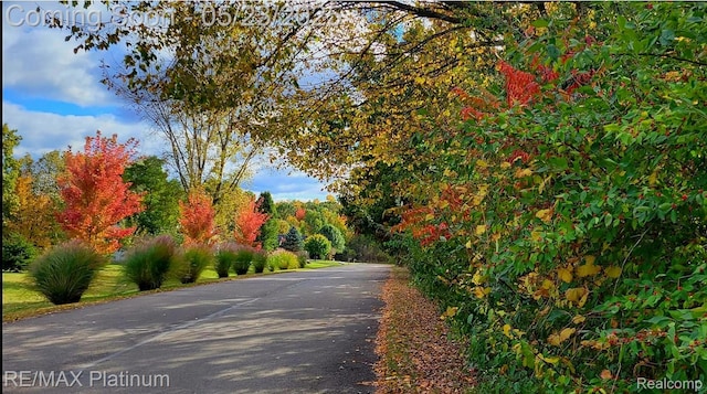 5956 Kerri Ln, Howell, MI 48855 - view of asphalt street