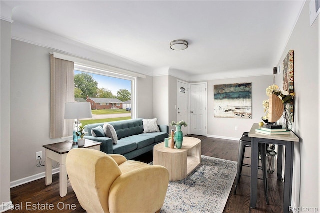 14620 Trenton Rd, Southgate, MI 48195 - living area featuring baseboards, dark wood-type flooring, and crown molding