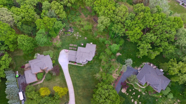 3172 Shadow Brook Ln, Pinckney, MI 48169 - aerial view of property's location