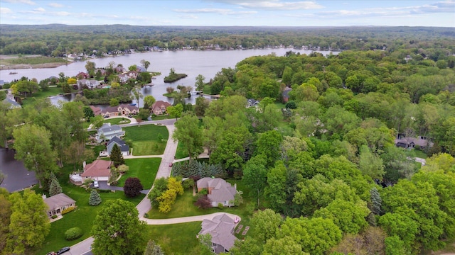 3172 Shadow Brook Ln, Pinckney, MI 48169 - aerial view of a nearby body of water and a forest