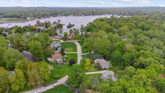 3172 Shadow Brook Ln, Pinckney, MI 48169 - aerial view of property's location featuring a heavily wooded area and a nearby body of water