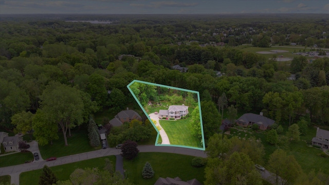3172 Shadow Brook Ln, Pinckney, MI 48169 - aerial view of property's location with a forest and property parcel outlined