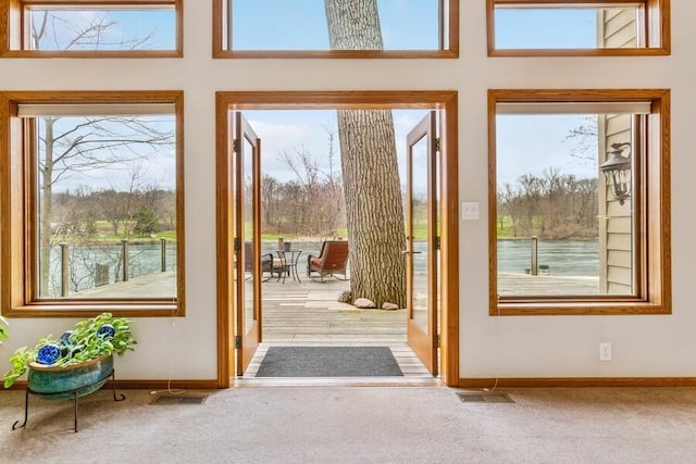 2942 White Oaks Ln, Buchanan, MI 49107 - doorway to outside featuring carpet and baseboards