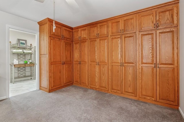 2942 White Oaks Ln, Buchanan, MI 49107 - view of closet