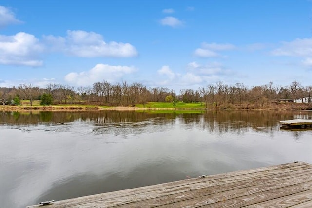 2942 White Oaks Ln, Buchanan, MI 49107 - dock featuring a water view