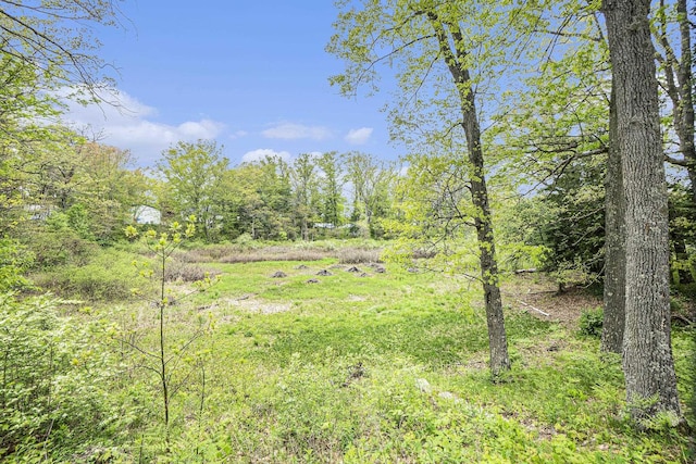 3921 Wildwood Ave, Bitely, MI 49309 - view of yard featuring a forest view