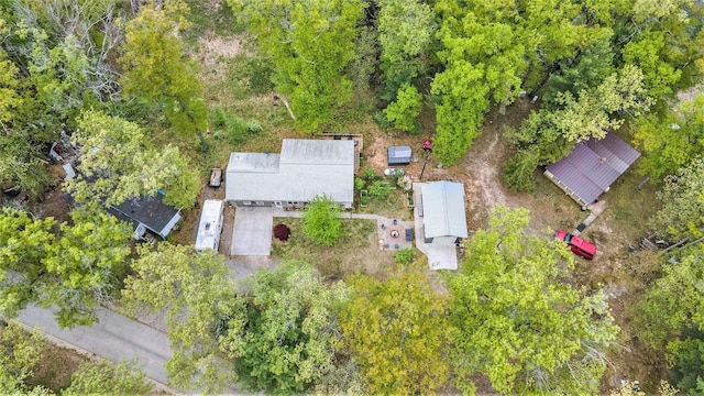 3921 Wildwood Ave, Bitely, MI 49309 - drone / aerial view