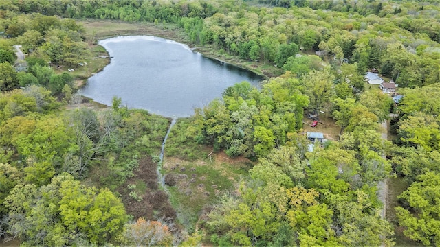 3921 Wildwood Ave, Bitely, MI 49309 - aerial overview of property's location featuring a large body of water and a forest