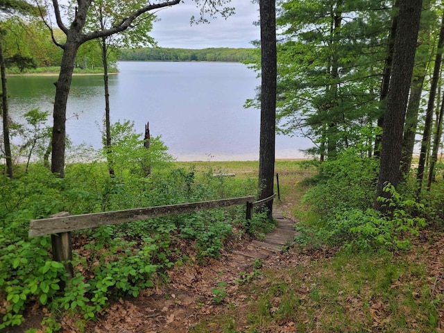 3921 Wildwood Ave, Bitely, MI 49309 - water view