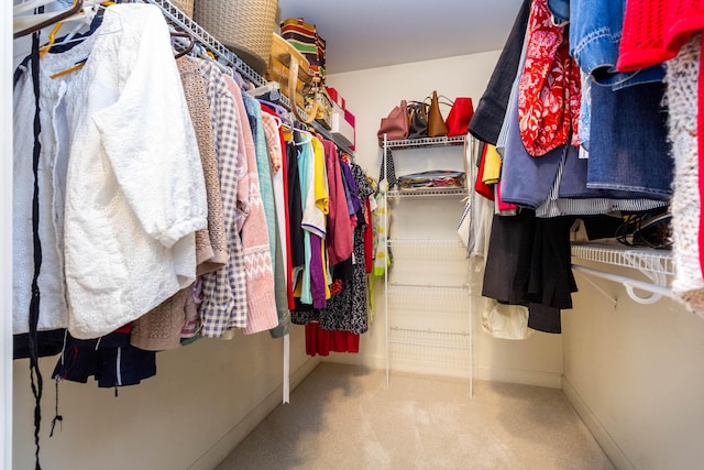 7009 Suncrest Dr, Saline, MI 48176 - walk in closet with carpet floors
