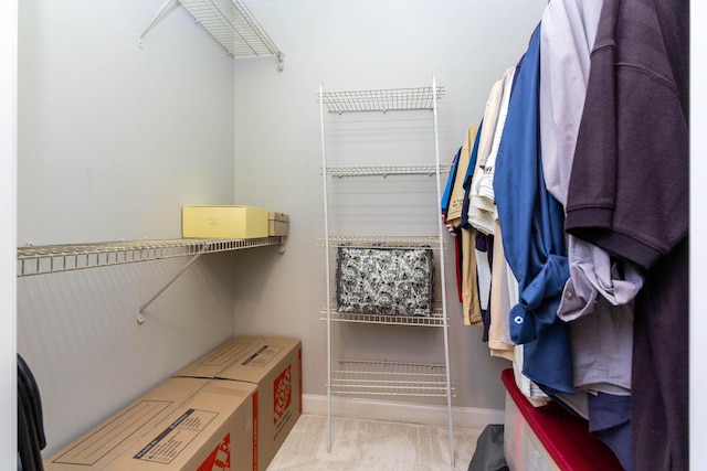 7009 Suncrest Dr, Saline, MI 48176 - view of walk in closet