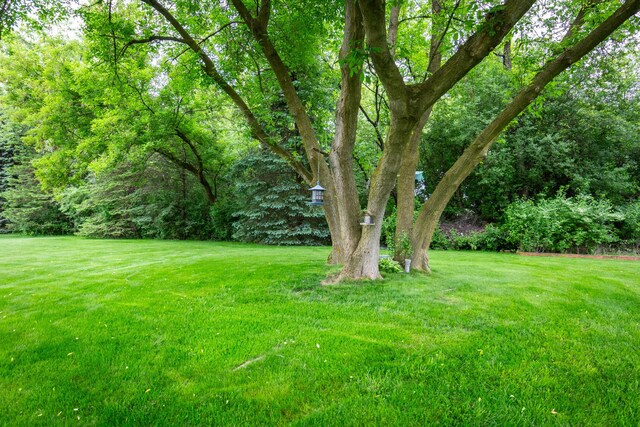 7009 Suncrest Dr, Saline, MI 48176 - view of green lawn