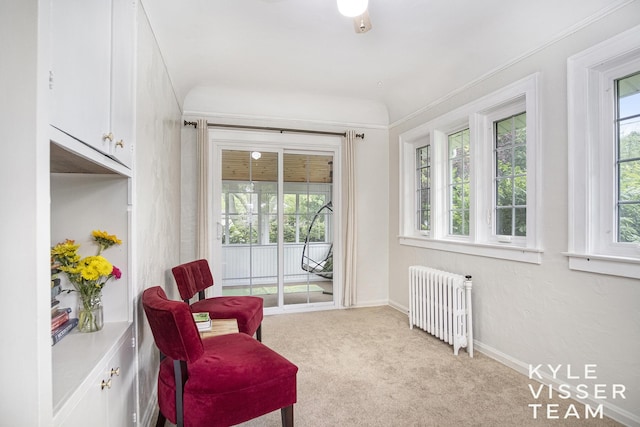 1058 Eastwood Ave SE, East Grand Rapids, MI 49506 - living area featuring radiator, plenty of natural light, carpet floors, and baseboards