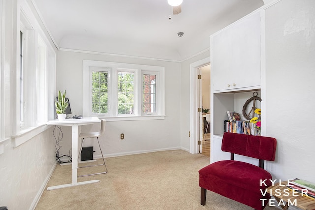 1058 Eastwood Ave SE, East Grand Rapids, MI 49506 - home office with light carpet, baseboards, and a ceiling fan