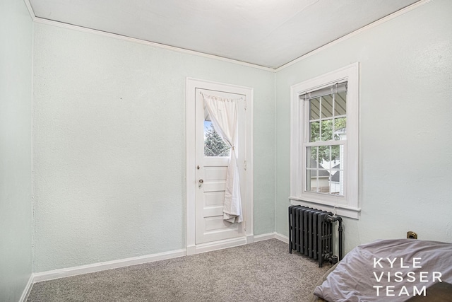 1058 Eastwood Ave SE, East Grand Rapids, MI 49506 - sitting room with radiator, carpet floors, baseboards, and ornamental molding