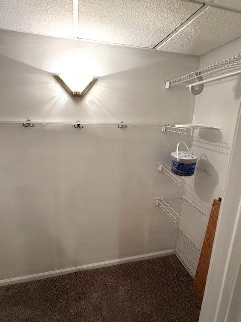 1376 Leisure Dr, Flint, MI 48507 - spacious closet featuring carpet floors