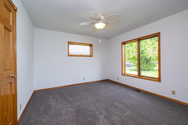 5142 Becht Rd, Coloma, MI 49038 - unfurnished room featuring plenty of natural light, dark carpet, and baseboards