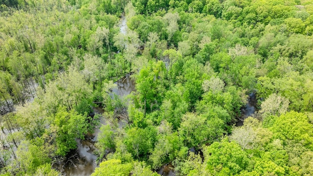 5142 Becht Rd, Coloma, MI 49038 - aerial view of a heavily wooded area and a nearby body of water