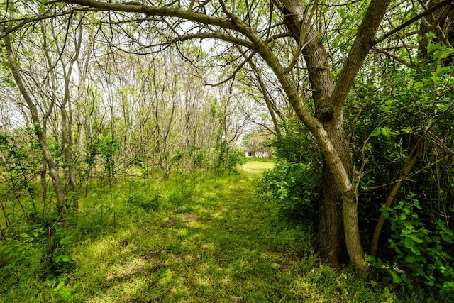 5142 Becht Rd, Coloma, MI 49038 - view of tree filled area