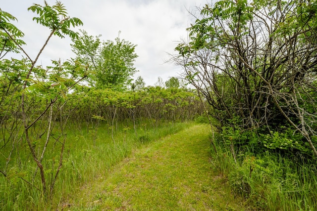 5142 Becht Rd, Coloma, MI 49038 - view of local wilderness