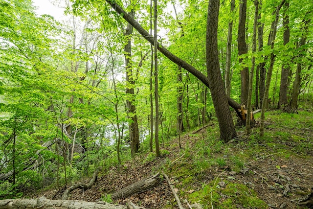 5142 Becht Rd, Coloma, MI 49038 - view of wooded area