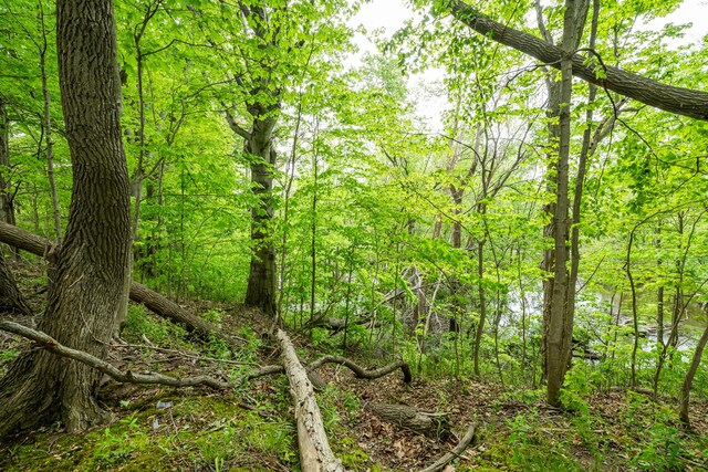5142 Becht Rd, Coloma, MI 49038 - view of wooded area