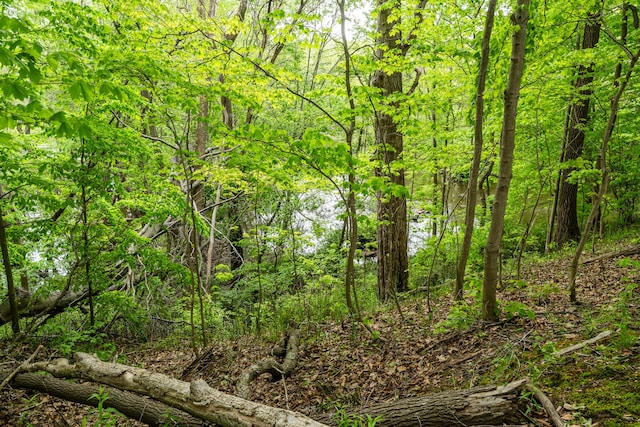 5142 Becht Rd, Coloma, MI 49038 - view of tree filled area