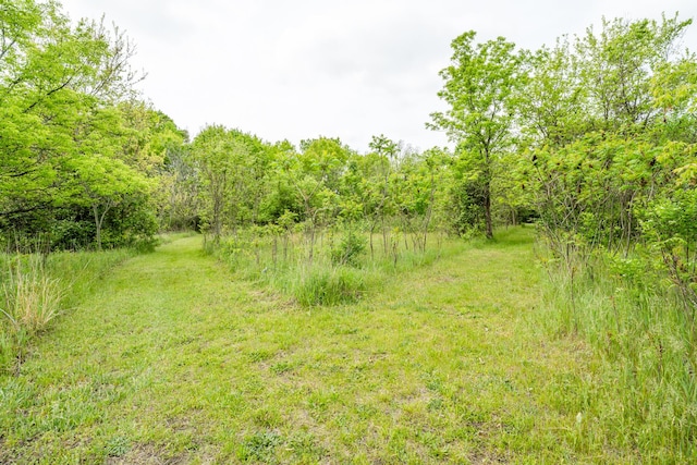 5142 Becht Rd, Coloma, MI 49038 - view of woods