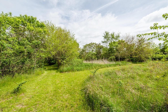 5142 Becht Rd, Coloma, MI 49038 - view of yard