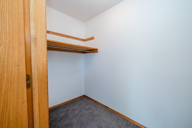 5142 Becht Rd, Coloma, MI 49038 - spacious closet featuring carpet