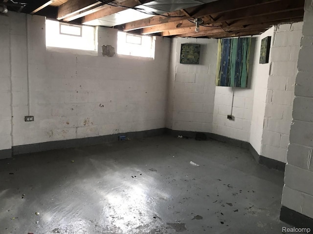 19381 Kenosha St, Harper Woods, MI 48225 - view of below grade area