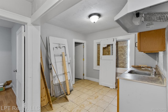2174 Springle St, Detroit, MI 48215 - kitchen featuring a sink, under cabinet range hood, baseboards, light countertops, and light tile patterned floors