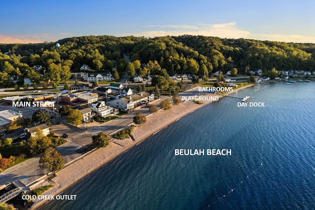 7256 Highland Dr, Beulah, MI 49617 - drone / aerial view of a nearby body of water