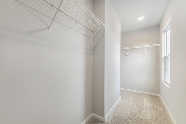 6129 Pollys Path, Berrien Springs, MI 49103 - spacious closet with carpet flooring