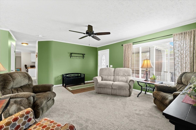 11855 Cedarbrook Dr, South Lyon, MI 48178 - living room with ceiling fan, carpet, ornamental molding, baseboards, and a textured ceiling