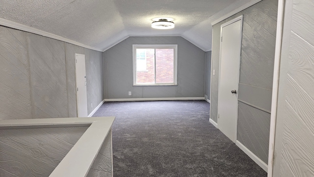 15465 Murray Hl, Detroit, MI 48227 - additional living space with lofted ceiling, carpet floors, baseboards, and a textured ceiling