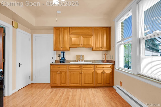 2393 Burger St, Hamtramck, MI 48212 - kitchen with a sink, baseboard heating, light wood-style floors, and light countertops