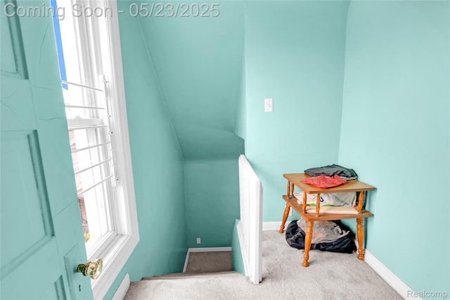 2393 Burger St, Hamtramck, MI 48212 - stairs featuring carpet floors and baseboards