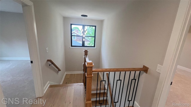 206 E Windemere Ave, Royal Oak, MI 48073 - staircase featuring baseboards and carpet