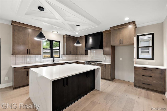 206 E Windemere Ave, Royal Oak, MI 48073 - kitchen with premium range hood, stainless steel appliances, light wood-type flooring, dark brown cabinets, and coffered ceiling
