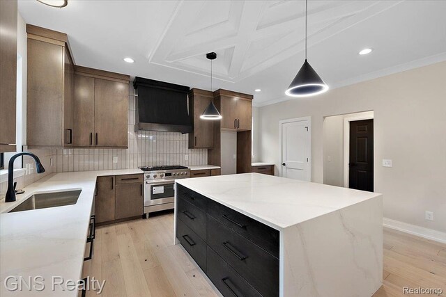 206 E Windemere Ave, Royal Oak, MI 48073 - kitchen with stainless steel range with gas cooktop, custom exhaust hood, decorative backsplash, light wood-style floors, and coffered ceiling
