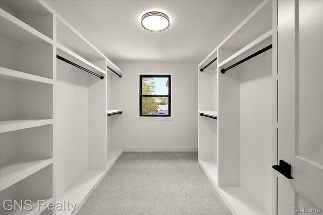 206 E Windemere Ave, Royal Oak, MI 48073 - spacious closet with light colored carpet