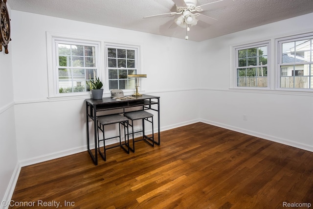 3333 Stone, Port Huron, MI 48060 - dining room with dark wood finished floors, plenty of natural light, a textured ceiling, a ceiling fan, and baseboards